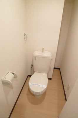 Toilet. Toilet