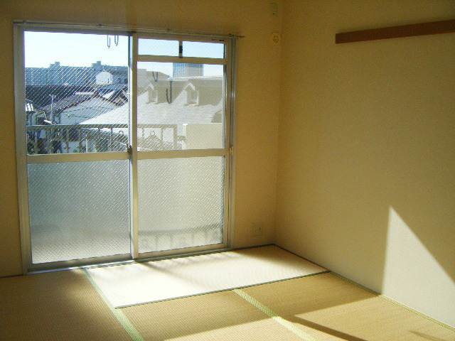 Other room space. Facing south in sunny