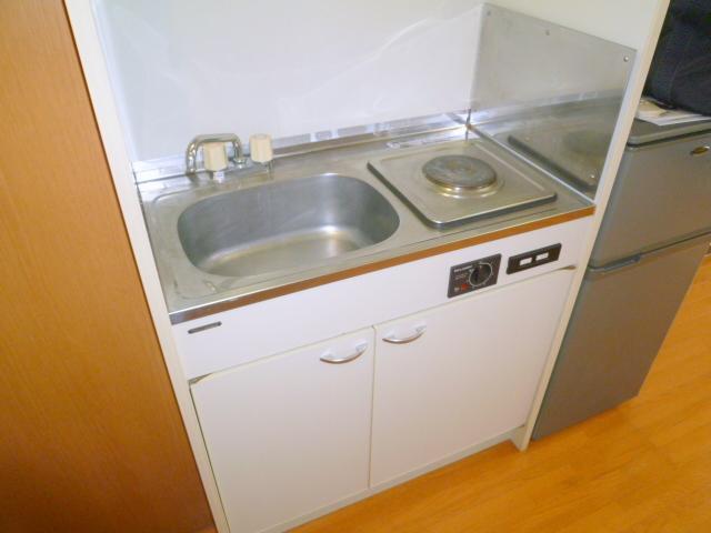 Kitchen. Compact size