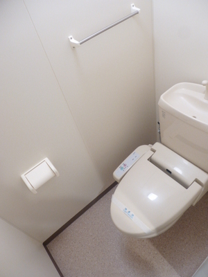 Toilet. Bidet function with toilet