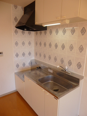 Kitchen. Washing a breeze in the spread of the sink!