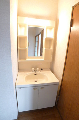 Washroom. Bathroom vanity