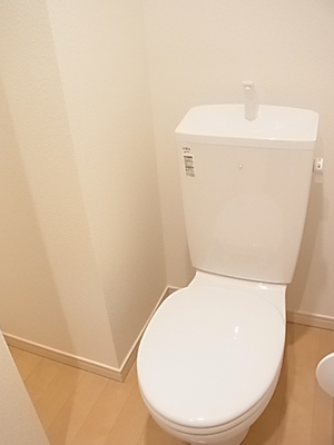 Toilet. There is space enough to put a small bookshelf.