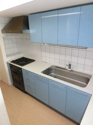 Kitchen. Stove is a 3-neck system Kitchen