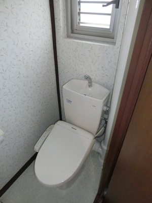 Toilet. Cleaning toilet seat