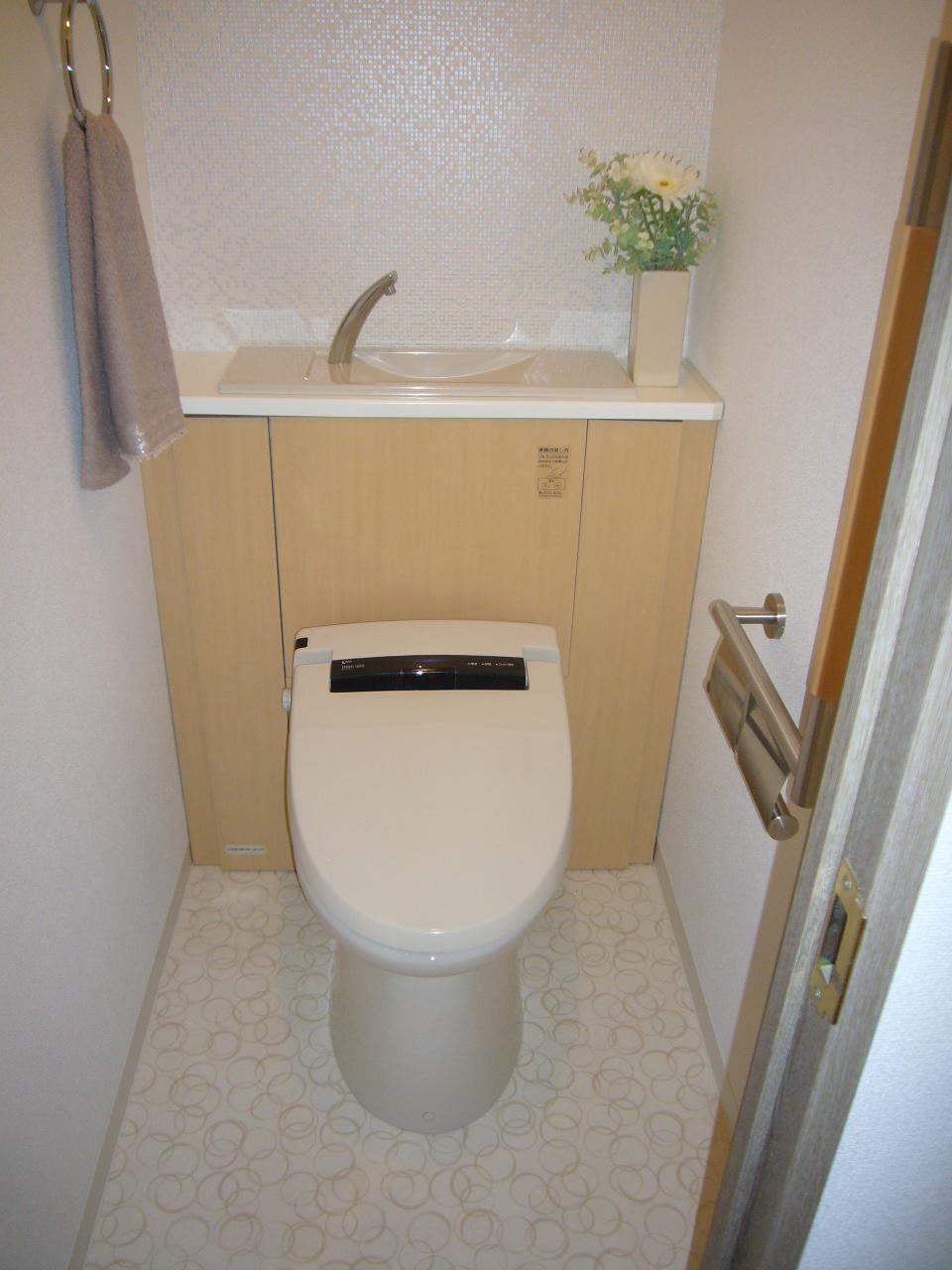 Toilet. Indoor (10 May 2013) Shooting