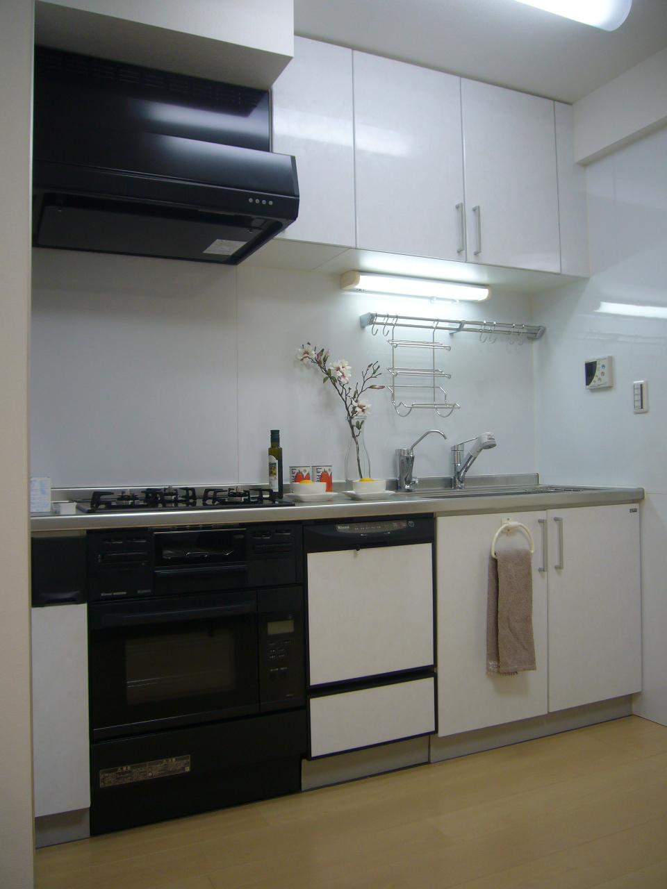 Kitchen. Indoor (10 May 2013) Shooting