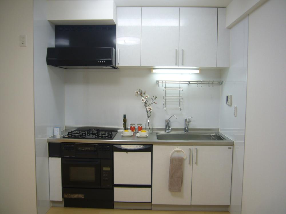 Kitchen. Indoor (10 May 2013) Shooting