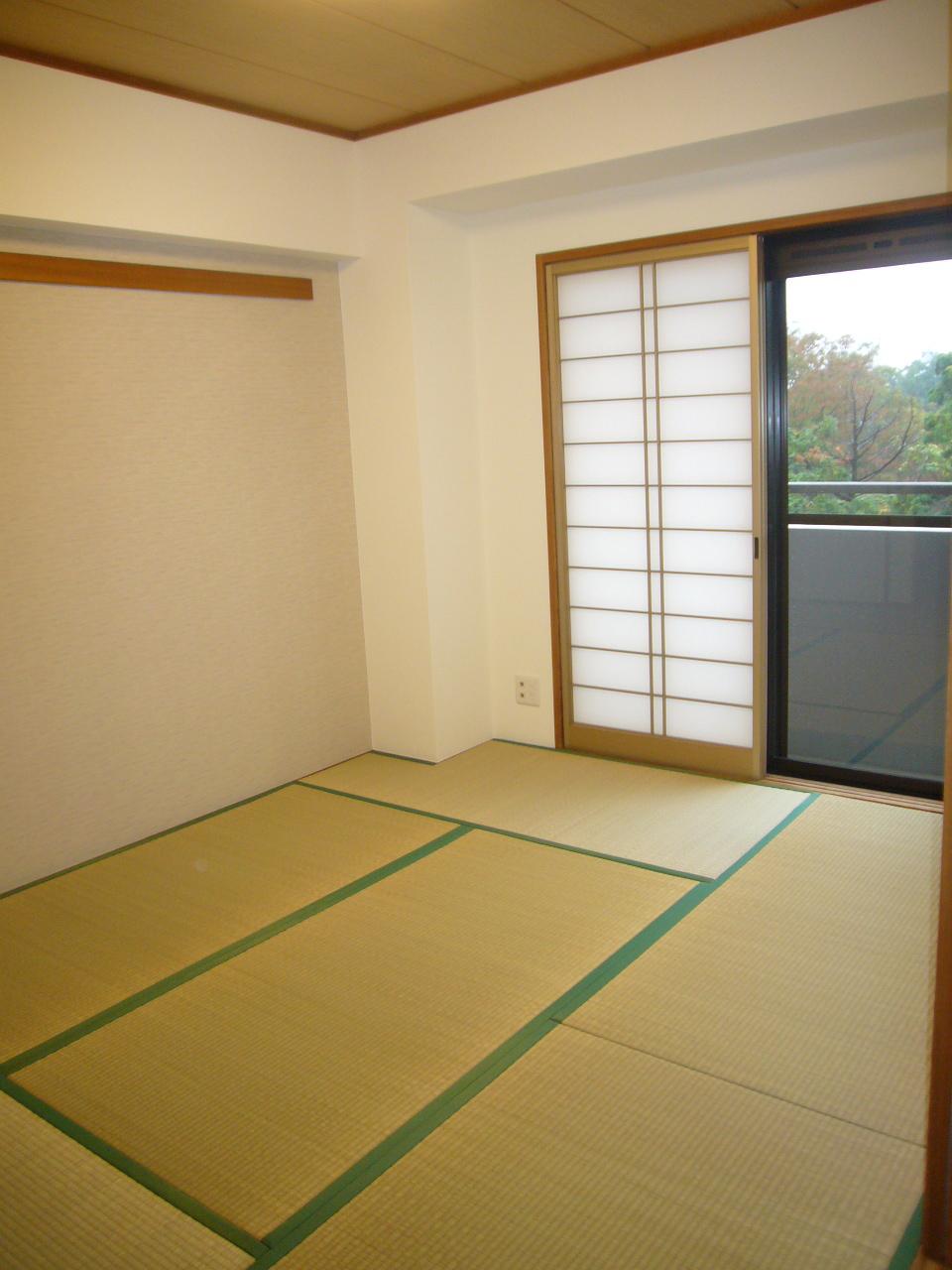 Non-living room. Indoor (10 May 2013) Shooting