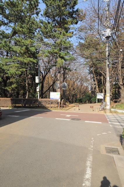 Other local. Local surrounding environment.