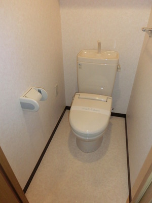 Toilet. Toilet with cleanliness