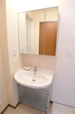 Washroom. Bathroom vanity