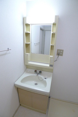 Washroom. Shampoo wash basin