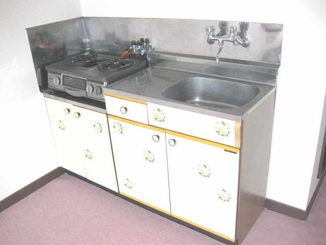 Kitchen. Gas stove can be installed type