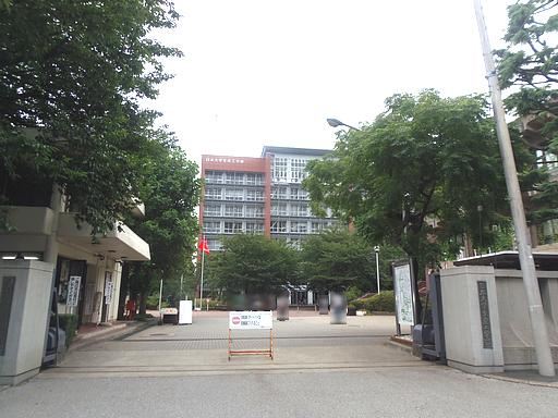 Other. 460m to the Nihon University of Industrial Technology (Tsudanuma school) (Other)