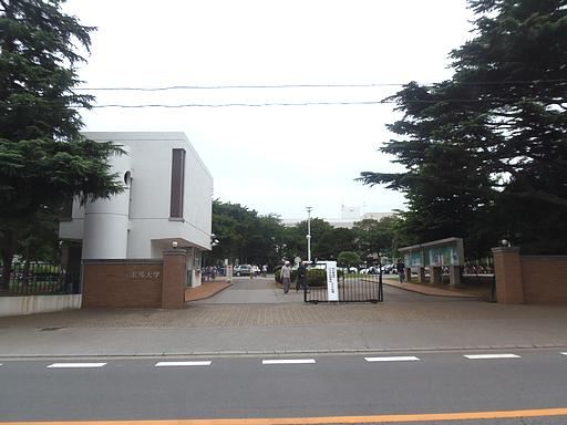 Other. Toho University Narashino 440m to campus (Other)