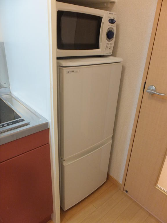 Other room space. Microwave and refrigerator