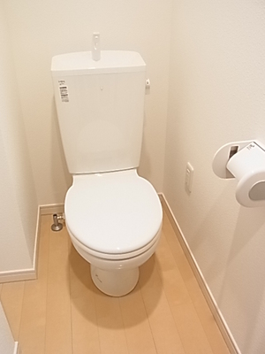 Toilet. There is space enough to put a small bookshelf.