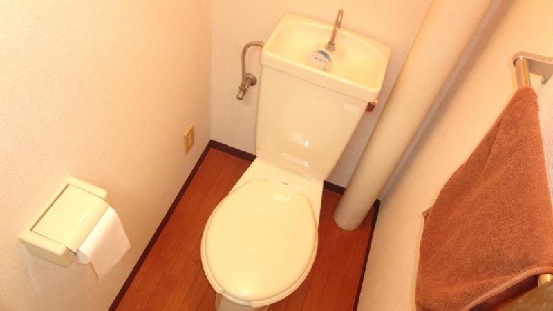 Toilet. Toilet with cleanliness