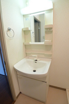 Washroom. Bathroom vanity