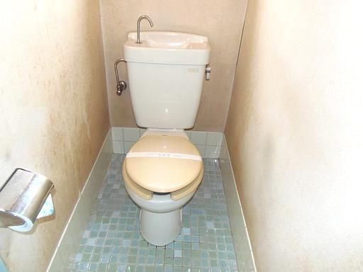 Toilet. Western-style toilet. 