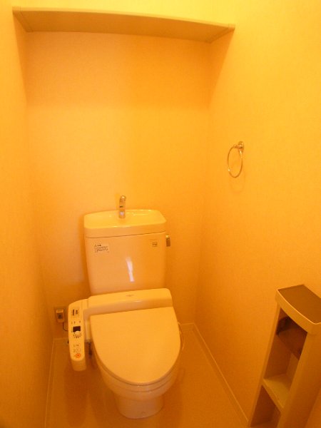 Other. Toilet