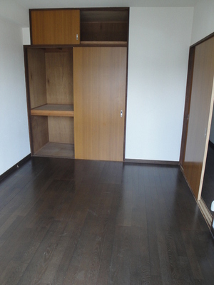 Living and room. There is also a upper closet, It survives for storage of seasonal