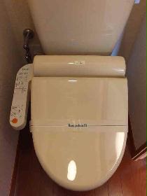 Toilet. Warm water washing toilet seat