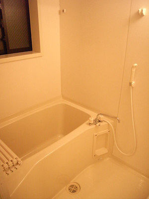 Bath. With bathroom dryer!