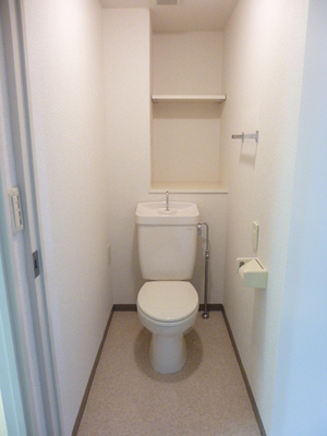 Toilet. Back has the shelf.