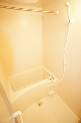 Bath. Also spacious bathtub with a clean bath.