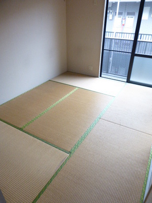 Living and room. South-facing bright Japanese-style