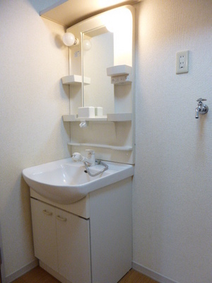 Washroom. Independent wash basin Shampoo dresser