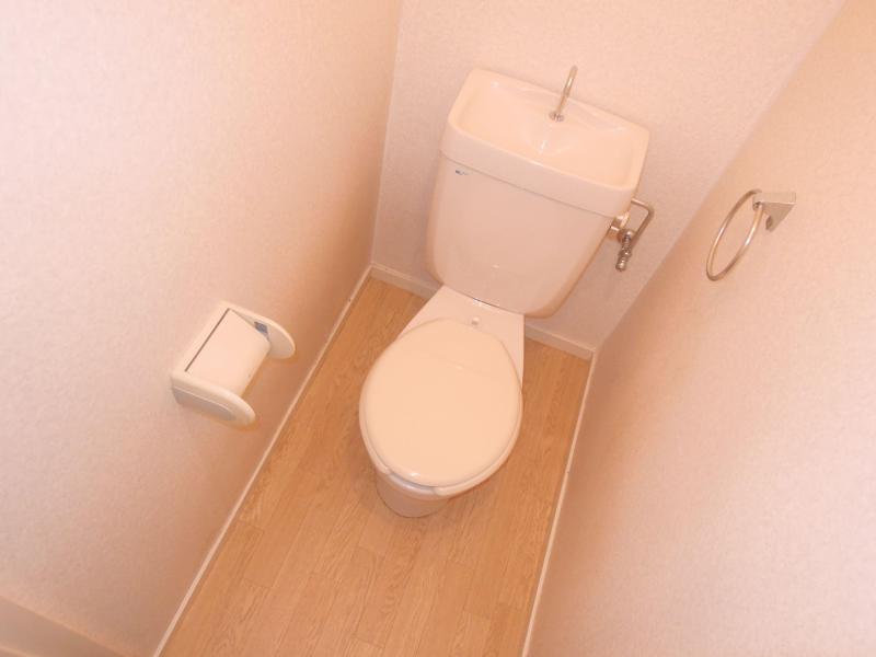 Toilet. It is a simple toilet. It is important point.