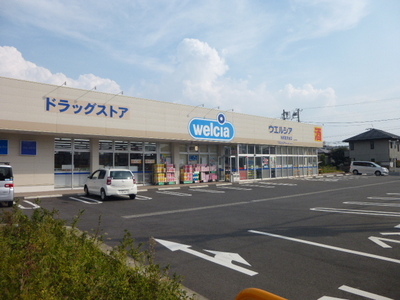 Dorakkusutoa. Uerushia Funabashi Natsumidai shop 743m until (drugstore)