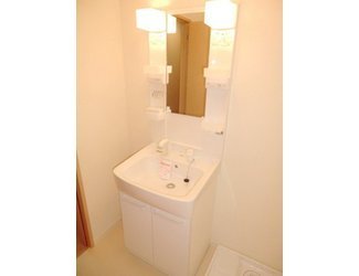 Washroom. Shampoo dresser