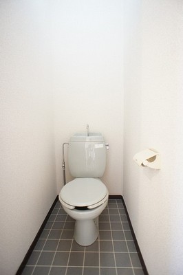 Toilet. The floor is a toilet tiled.