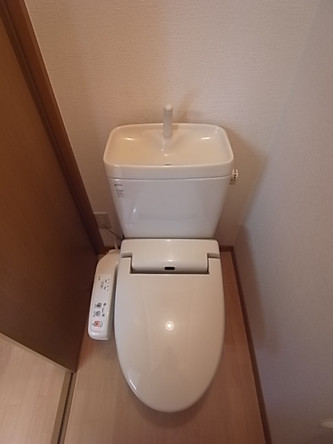 Toilet. Bidet with toilet