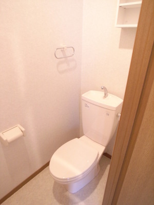 Toilet. Toilet is also beautiful to cleaning being completed! 