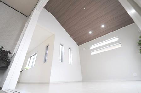 Living. Gradient ceiling living space