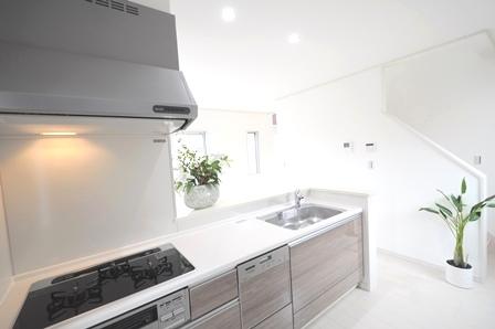 Kitchen. Face-to-face kitchen