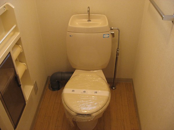 Toilet. Toilets are convenient with a shelf.