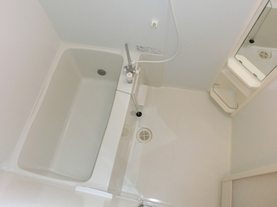 Bath. Bathroom with additional heating