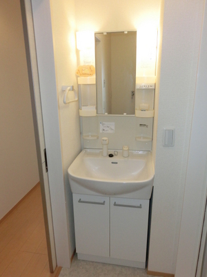 Washroom. With shampoo dresser