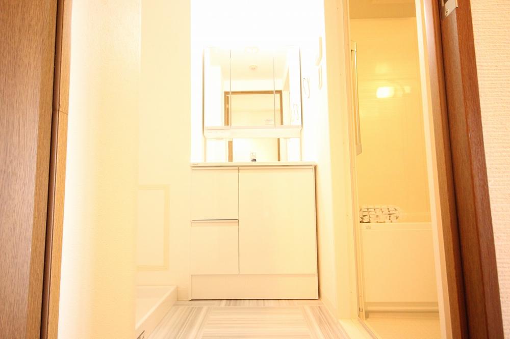 Wash basin, toilet. Water around also renovated