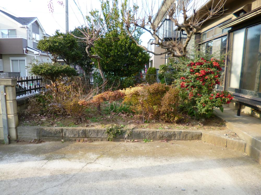 Garden. Local (12 May 2013) Shooting