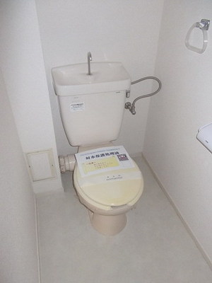 Toilet. Toilet