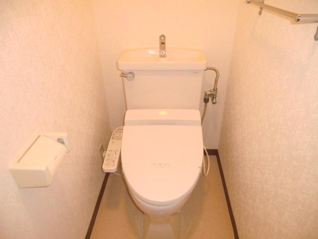 Toilet. Also it comes with bidet