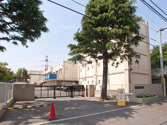 Junior high school. God of the sea up to junior high school 1250m