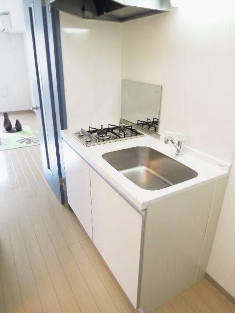 Kitchen. Also spacious kitchen, Two-burner stove in the kitchen